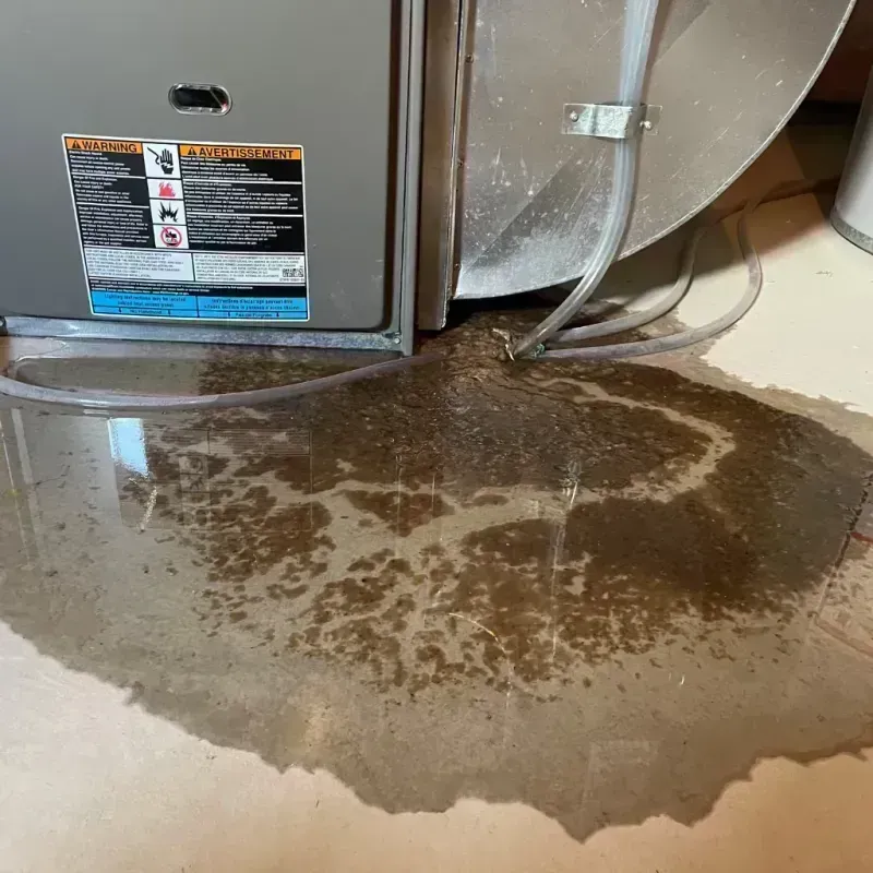 Appliance Leak Cleanup in Beaver, WV